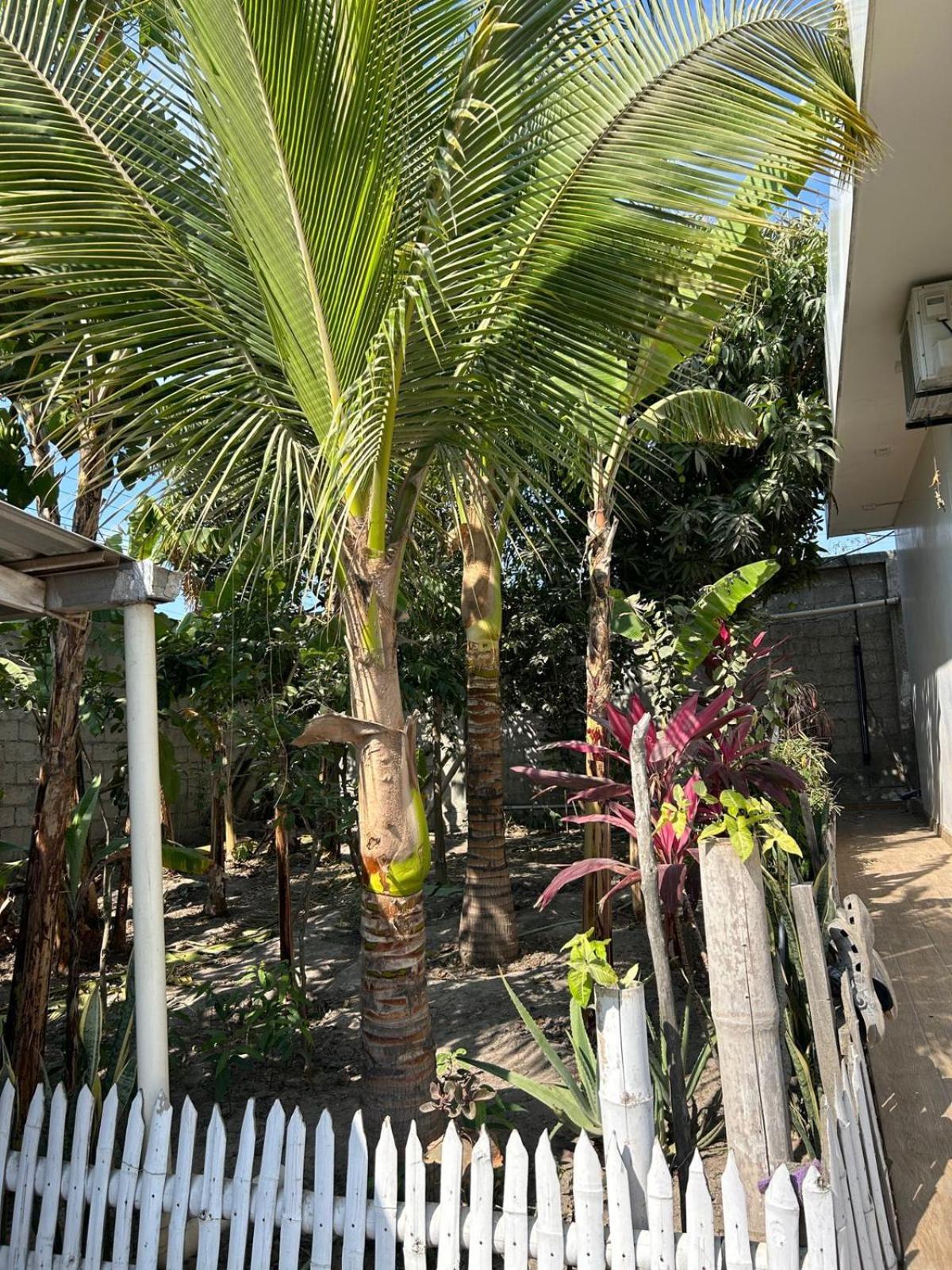 Casa Con Piscina Privada Manta Exterior foto